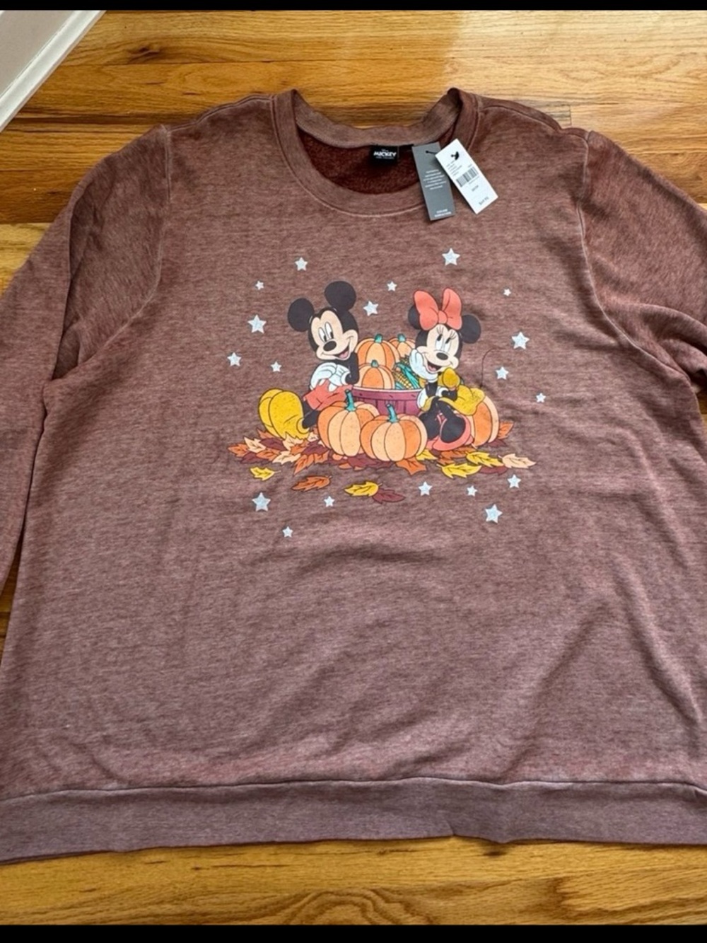 Disney Minnie Mickey pumpkin patch Fall new Lane Bryant women’s crewneck 22/24